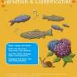 CE/KS3 Science: Biology: Variation & Classification