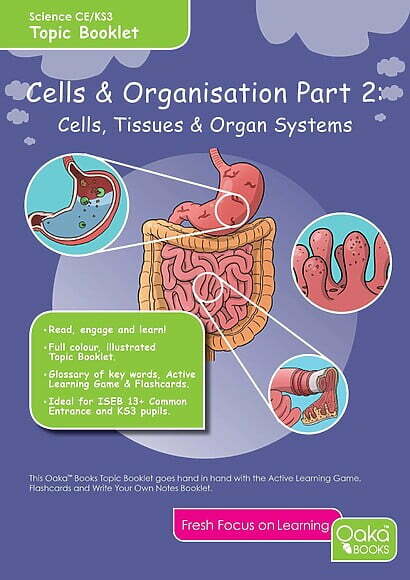 CE/KS3 Science: Biology: Cells & Organisation - Cells, Tissues & Organ Systems (Part 2)
