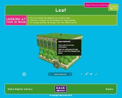 Oaka E-books Home/Single Site Introductory School Licence (£149 + vat)