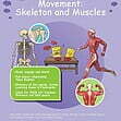 CE/KS3 Science: Biology: Movement: Skeletons & Muscles.