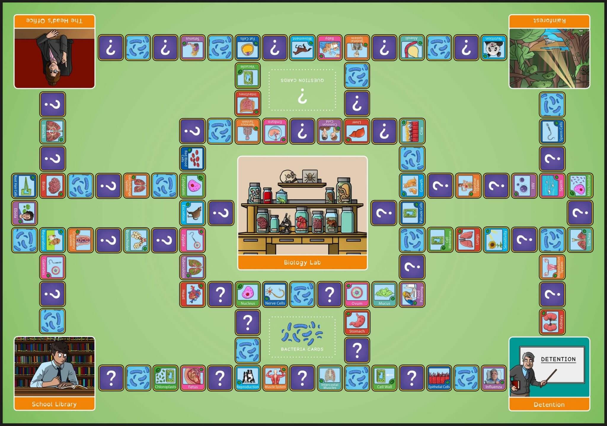 CE KS3 Science: Biology Scramble Game | Resources For Dyslexics