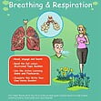 CE/KS3 Science: Biology: Breathing & Respiration