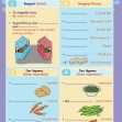 CE/KS3 French: Food & Drink