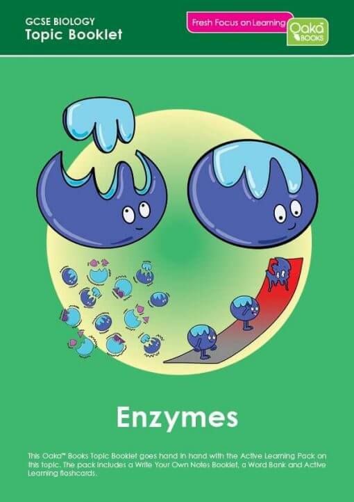GCSE/KS4 Biology: Enzymes