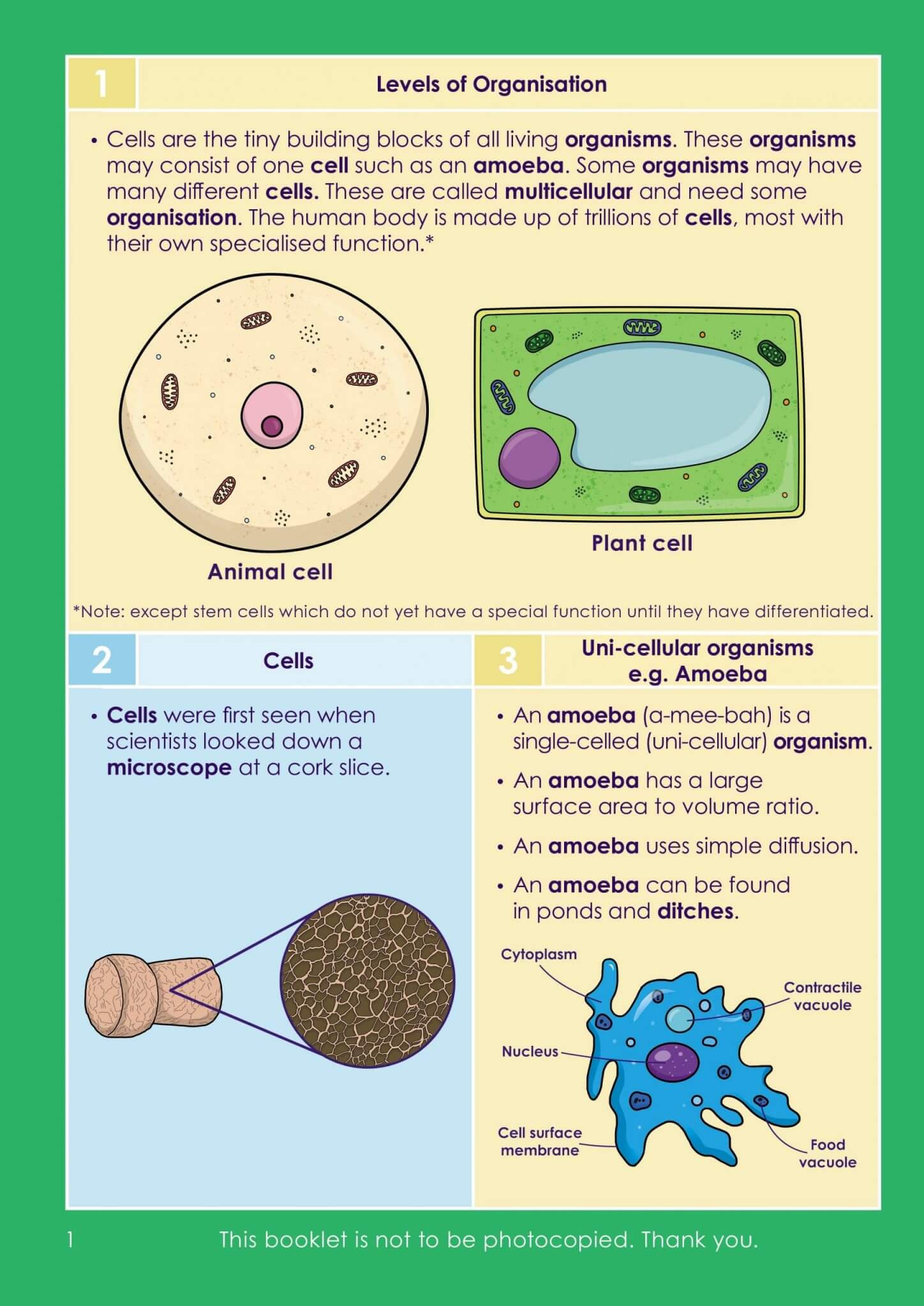 KS4/GCSE Biology | Cell Biology Pack | Resources For Dyslexics