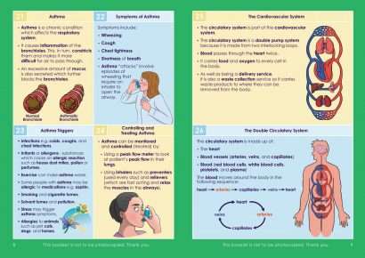 GCSE/KS4 Biology: The Cardiovascular and Respiratory System